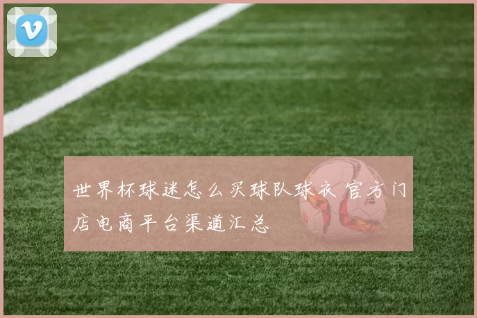 世界杯球迷怎么买球队球衣 官方门店电商平台渠道汇总