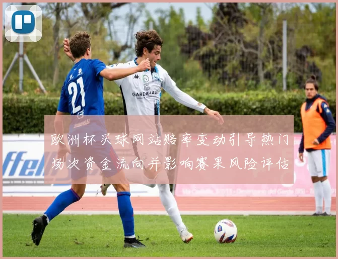 欧洲杯买球网站赔率变动引导热门场次资金流向并影响赛果风险评估