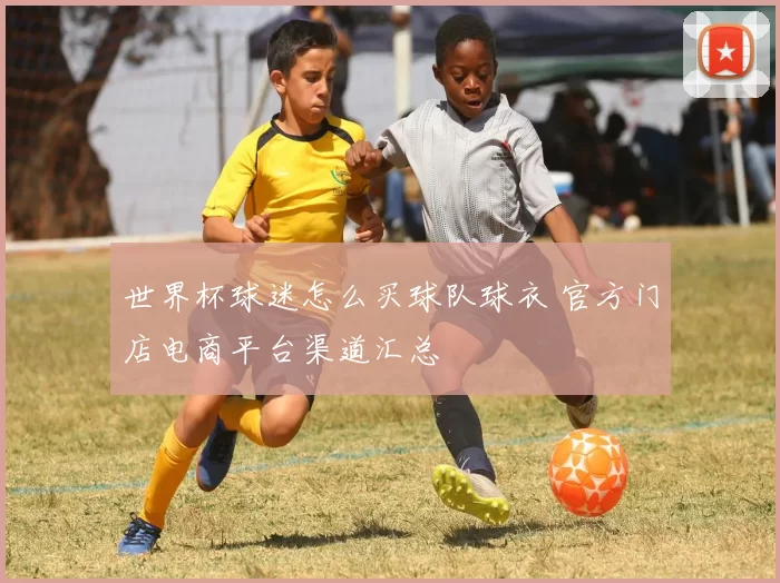 世界杯球迷怎么买球队球衣 官方门店电商平台渠道汇总